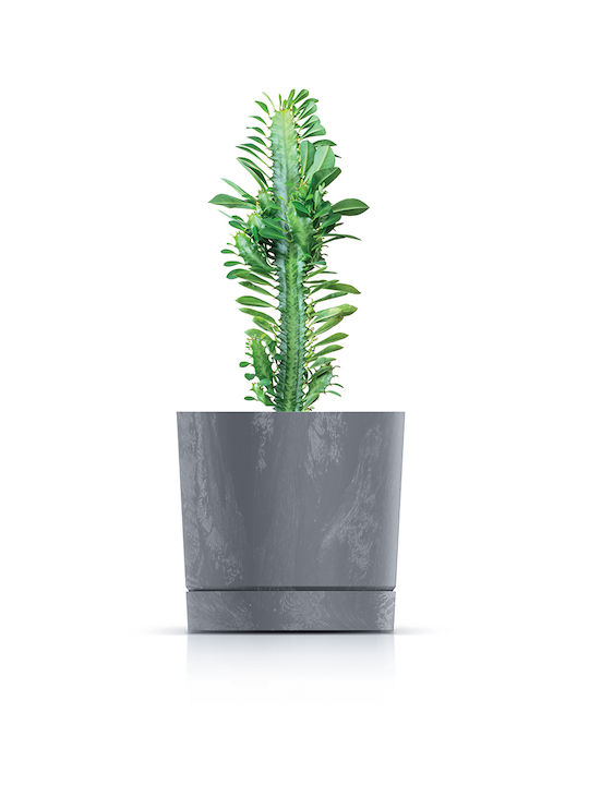 Prosperplast Бетонен Пот Крем 12.8x12.8x12.8см