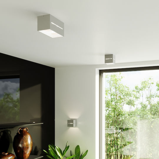 Sollux Lobo Modern Lamp Wall Gray 10x13x13cm