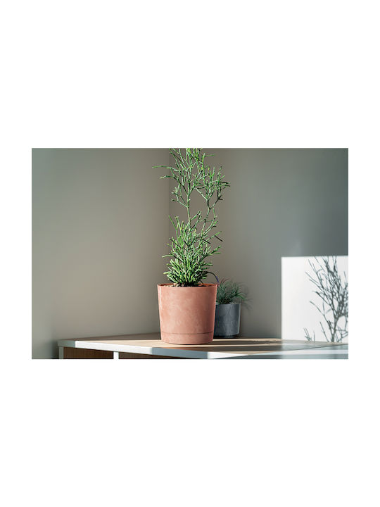 Prosperplast Бетонен Пот Крем 23.9x23.9x23.1 см