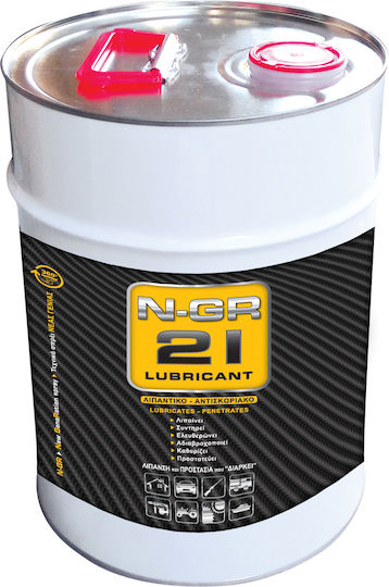 N-GR 21 Spray Inhibitor de coroziune 500ml 1buc