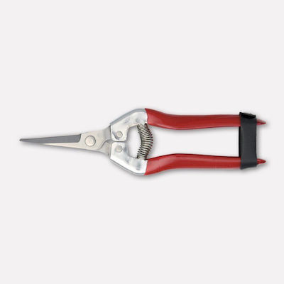 Paolucci Coltellerie Pruning Shears 368