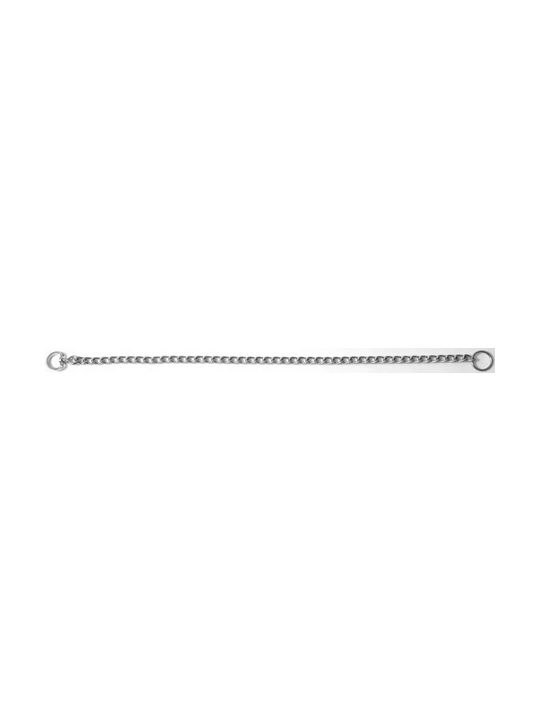 Ikaros Πνίχτης Σκύλου Αλυσίδα σε Ασημί χρώμα 4mm x 60cm