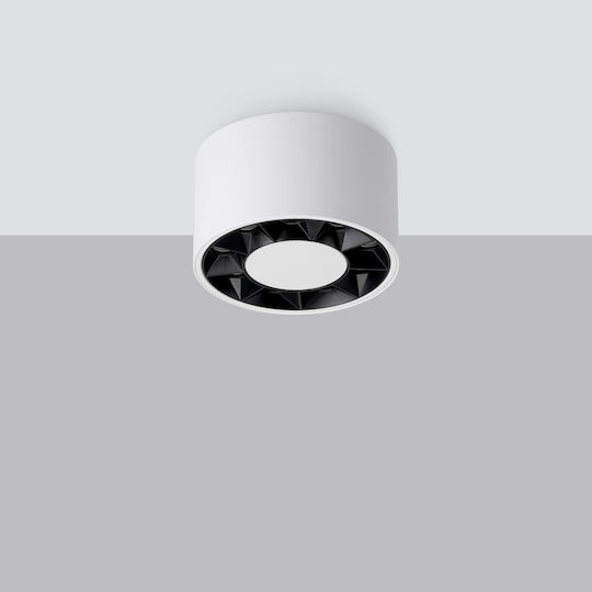 Sollux Single LED Natural White Spot in White Color