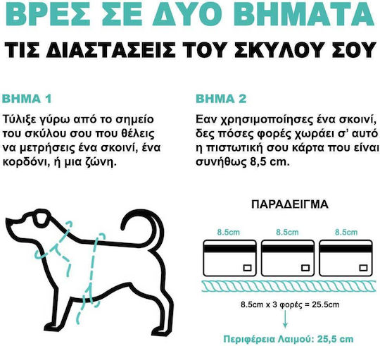 Zee-Dog Λουρί/Οδηγός Σκύλου Ιμάντας XSmall σε Πράσινο χρώμα 1.20m x 1cm