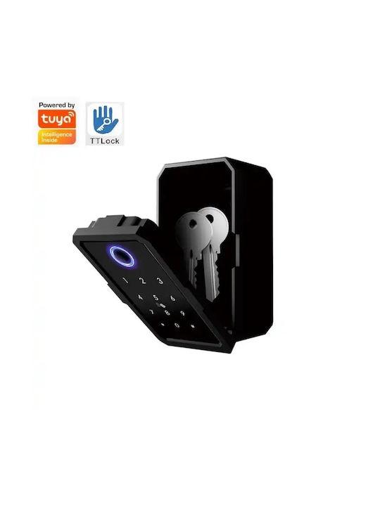 Artion Systems Smart Wall-mounted Combination Key Holder Metallic with Fingerprint and Keyboard 150 Hooks 8x5x20cm