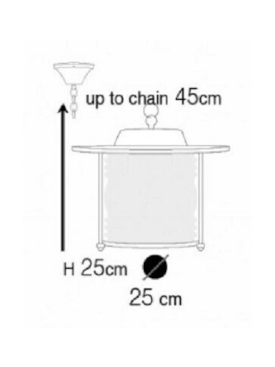 Andromeda Outdoor Hanging Ceiling Light E27 in Bronze Color 60