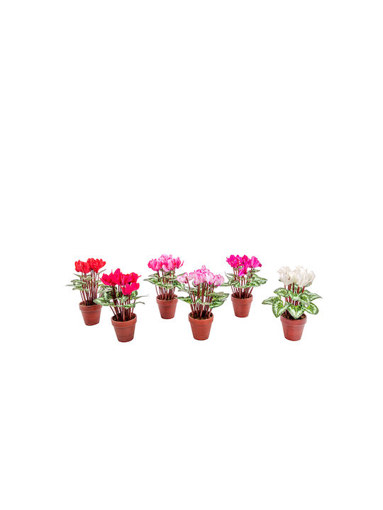 Arpimex Srl Artificial Plant in Small Pot Cyclamen Red 38cm 1pcs