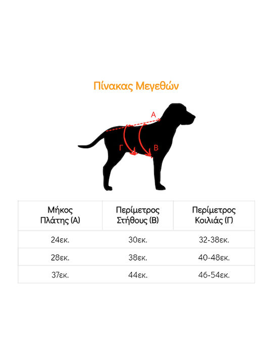 Woofmoda Dog Dress XSmall 24cm