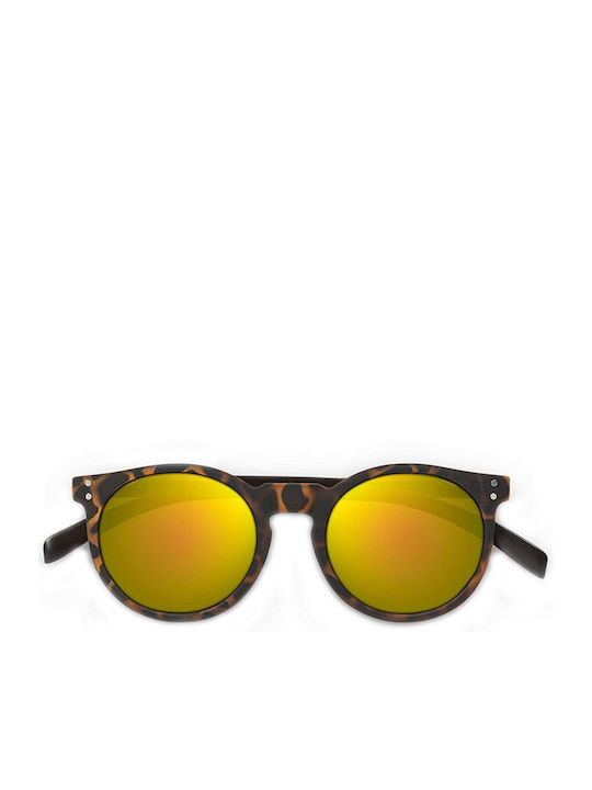 Breo Elmhurst Tortoise Shell / Black Wood B-AP-ELMT7