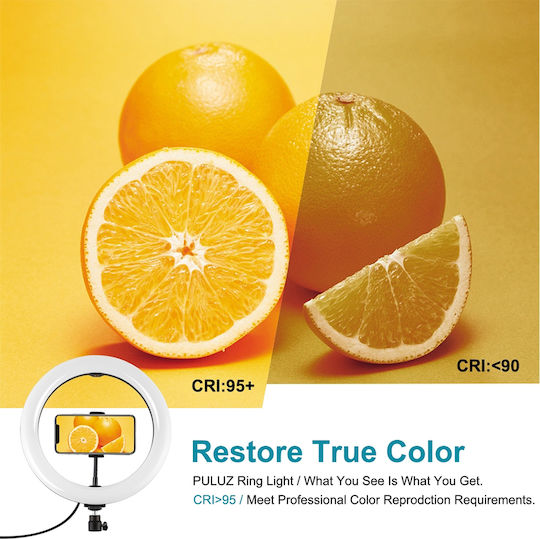 Puluz Light Ring Light 26cm with Floor Tripod and Mobile Phone Holder