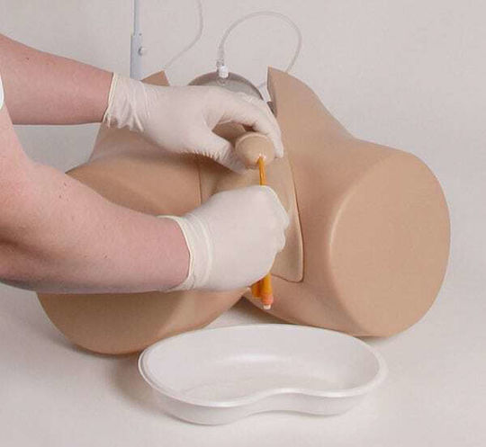 Erler Zimmer Interactive Training & CPR Model