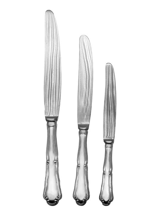 Savvas Design Set de Tacâmuri Inoxidabil Argintiu 231buc