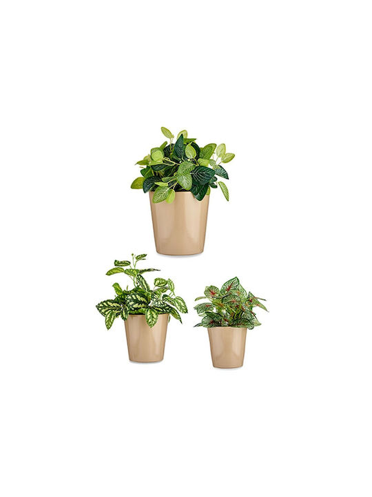 Ibergarden Set 3 Ghivece de Flori Din Plastic Bej