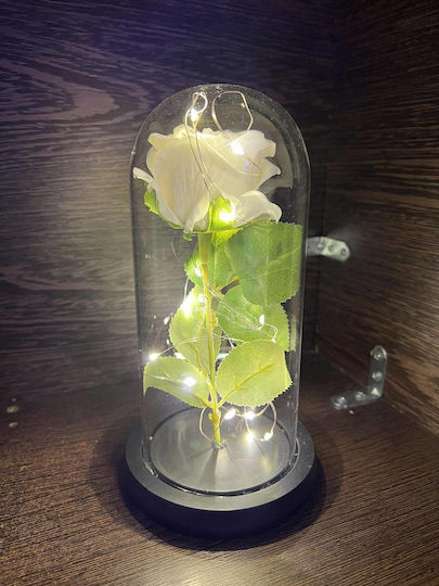 Ewige Rose Weiß 22cm in Yala mit LED