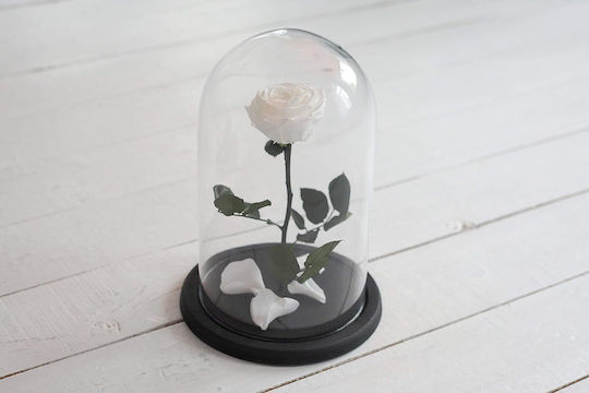 Ewige Rose Weiß 22cm in Yala mit LED