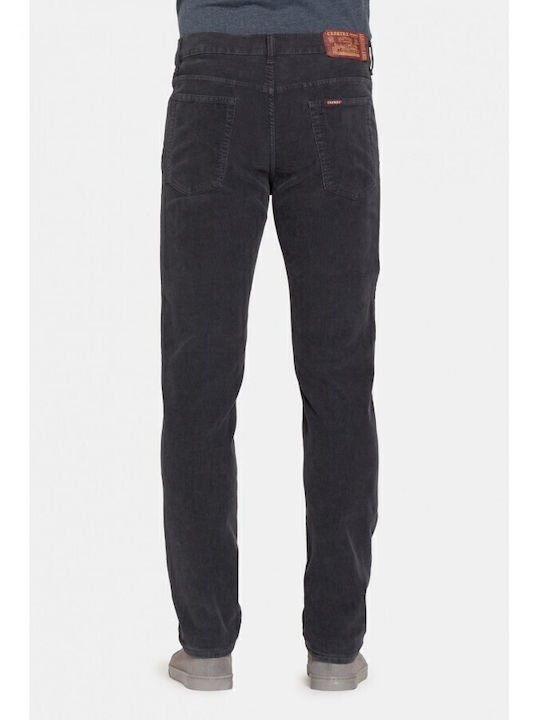 Carrera Dark Trousers Elastic in Regular Fit Gray