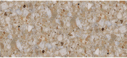 Placă Perete Bucătărie / Baie Porțelanat Mat 120x60cm Gold