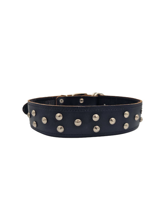 ByLeather Κολάρο Δερμάτινο σε Μαύρο χρώμα Small 60cm ByLeather Κολάρο Δερμάτινο σε Μαύρο χρώμα Small 60cm