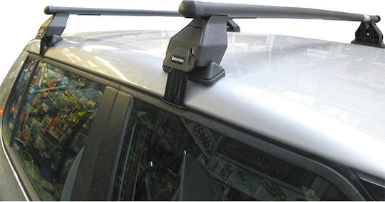 Americat Kit (with Roof Rack Legs) Silver