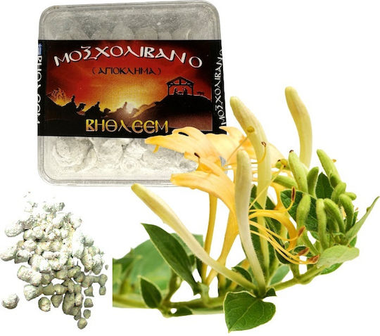 ΒΗΘΛΕΕΜ Λιβάνι 40gr