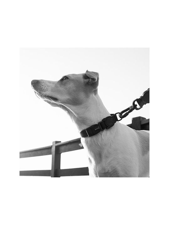 Zee-Dog Κολάρο Σκύλου σε Μαύρο χρώμα Small