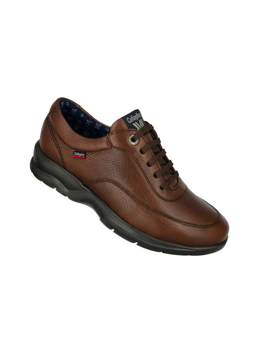 Callaghan Sneakers Brown