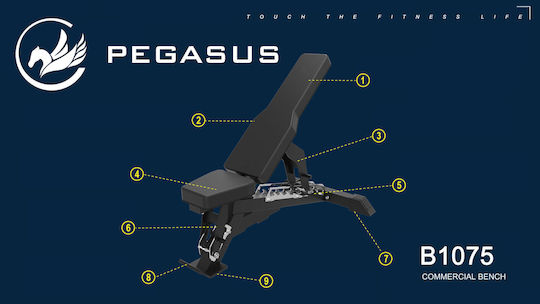 Pegasus B1075 Ρυθμιζόμενος Πάγκος Γυμναστικής