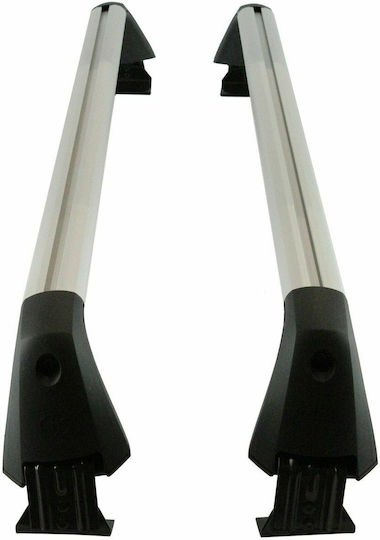 Toyota 2008-2017 (with Roof Rack Legs) Silver