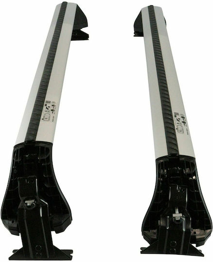 Toyota 2019 (with Roof Rack Legs and Lock) Silver