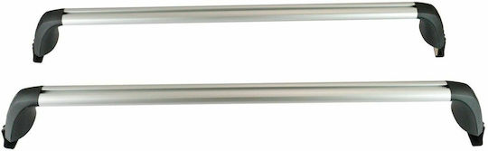 Toyota 2005-2008 (with Roof Rack Legs and Lock) Silver