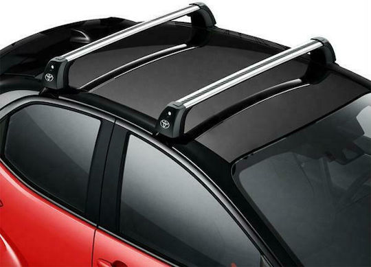 Toyota 2020 (with Roof Rack Legs) Silver