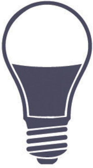Special Type Lamp 250W for Socket E27 4pcs