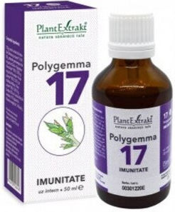 Plantextrakt 50ml
