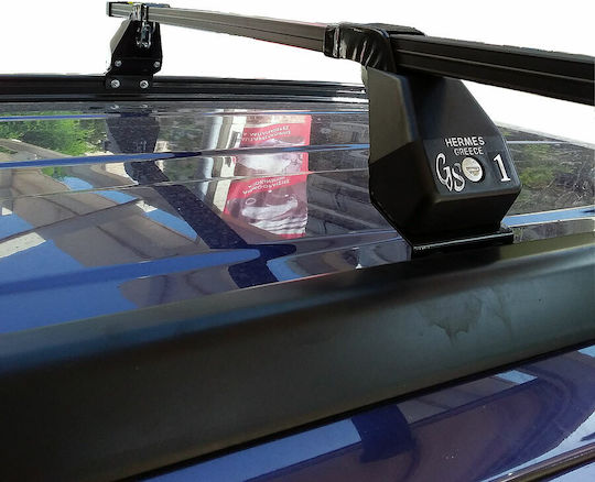 Hermes für Daihatsu Terios (mit Dachträgerfüßen) Schwarze
