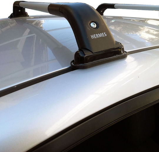 Hermes (with Roof Rack Legs) Black