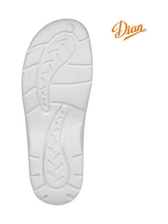 Dian Clogs Blau