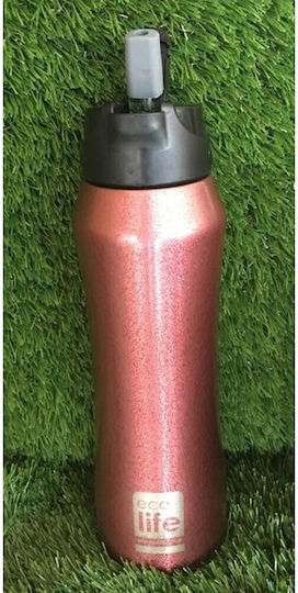 Ecolife Bottle Thermos Stainless Steel BPA Free 550ml Red with Straw
