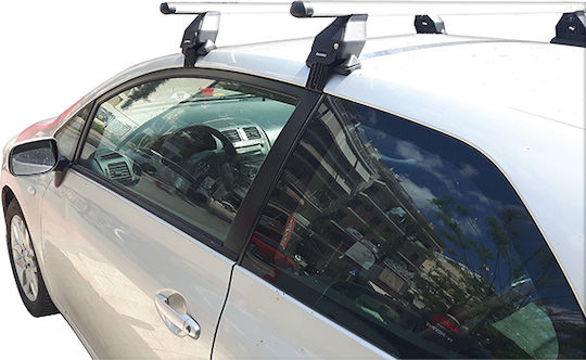 Menabo (with Roof Rack Legs and Lock) Silver