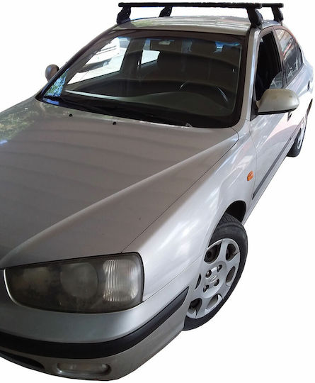 Menabo (with Roof Rack Legs) Silver
