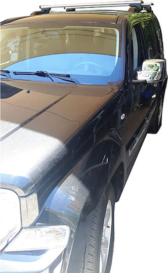 Menabo (with Roof Rack Legs) Silver