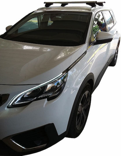 Menabo (with Roof Rack Legs and Lock) Silver