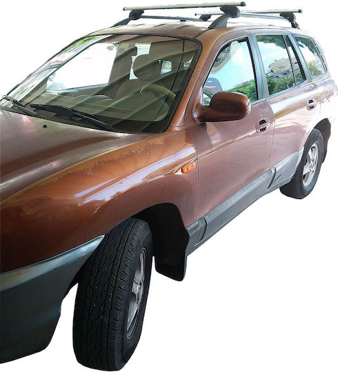 Menabo (with Roof Rack Legs) Silver