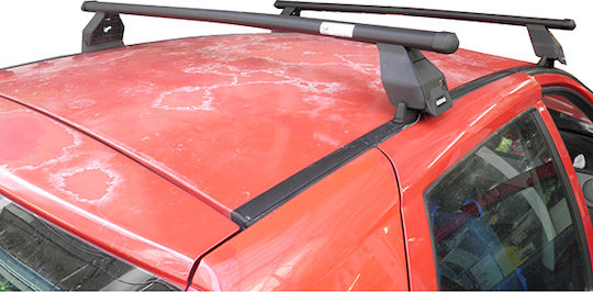 Menabo (with Roof Rack Legs) Silver