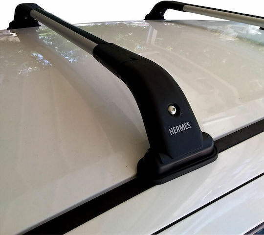Hermes (with Roof Rack Legs) Silver
