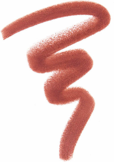 Anastasia Beverly Hills Μολύβι Χειλιών Raisin