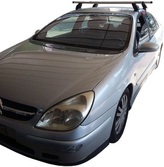 Menabo (with Roof Rack Legs) Silver