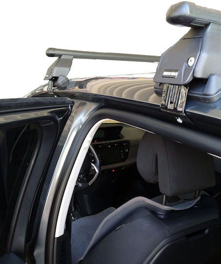 Menabo für Citroen C4 Picasso (mit Dachträgerfüßen) Silber