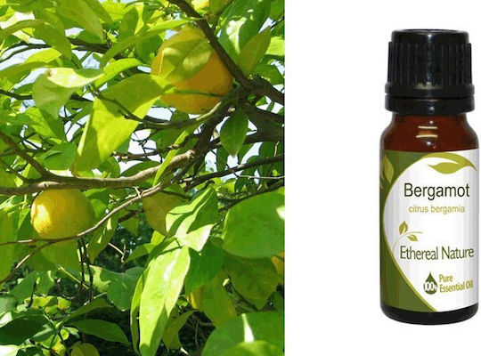 Nature & Body Essential Oil Bergamot 10ml