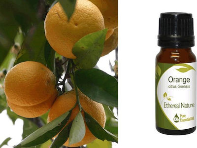 Nature & Body Essential Oil Orange 10ml