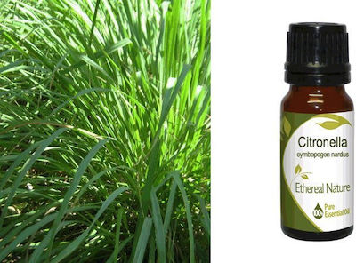 Nature & Body Essential Oil Citronella 10ml